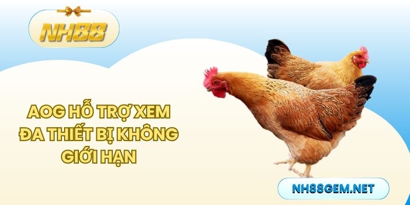 AOG hỗ trợ xem đa thiết bị không giới hạn