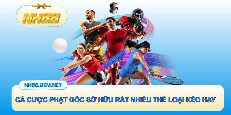 Cá cược phạt góc sở hữu rất nhiều thể loại kèo hay