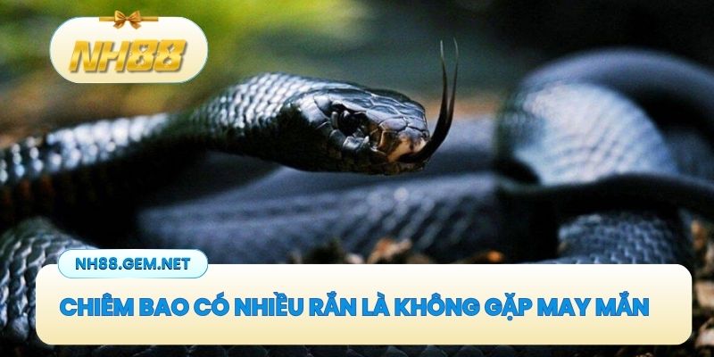 Chiêm bao có nhiều rắn chứng tỏ bạn không gặp may mắn trong công việc