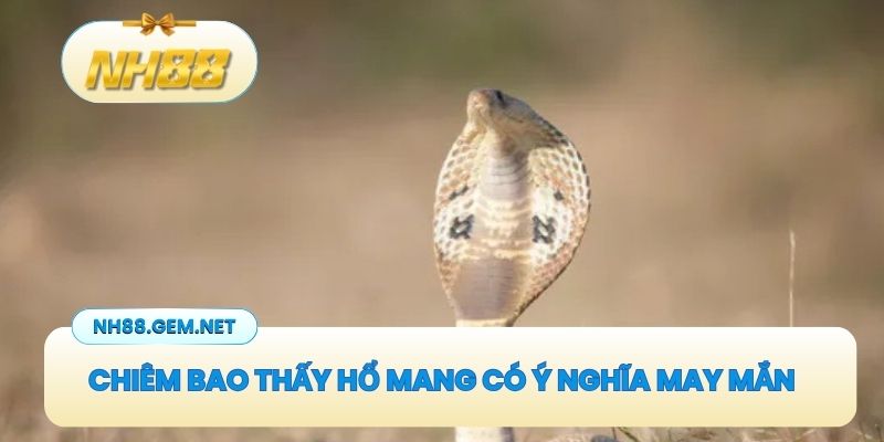 Chiêm bao thấy hổ mang chú có ý nghĩa thể hiện cho sự thuận lợi, may mắn