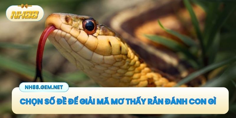 Chọn số đề để giải mã mơ thấy rắn đánh con gì
