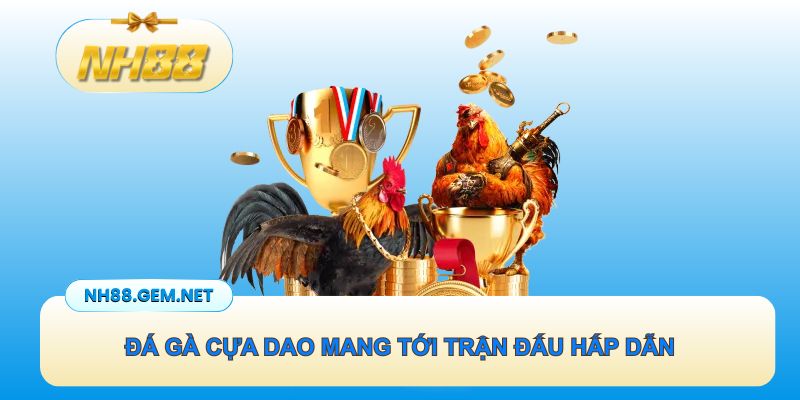 Đá gà cựa dao mang tới những trận đấu rất hấp dẫn