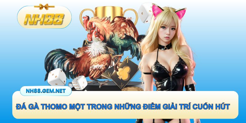 Đá gà Thomo là một trong những điểm giải trí cuốn hút bậc nhất