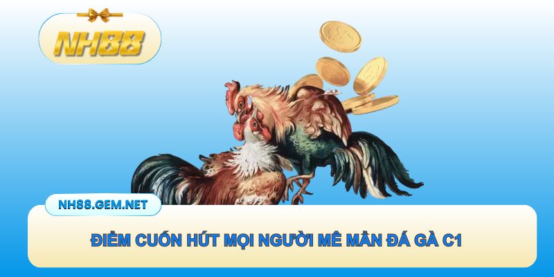 Những điểm cuốn hút mọi người mê mẩn đá gà trực tiếp C1