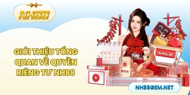 Giới thiệu tổng quan về quyền riêng tư NH88