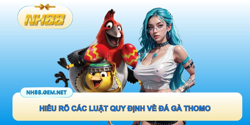 Hiểu rõ các luật quy định về đá gà Thomo để chiến thắng