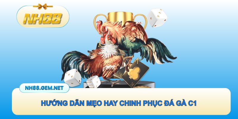 Hướng dẫn mẹo hay chinh phục đá gà C1