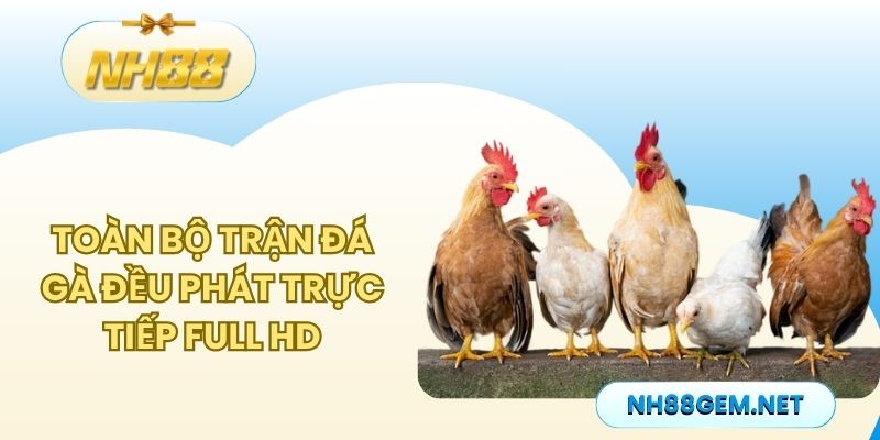 Toàn bộ trận đá gà đều phát trực tiếp Full HD